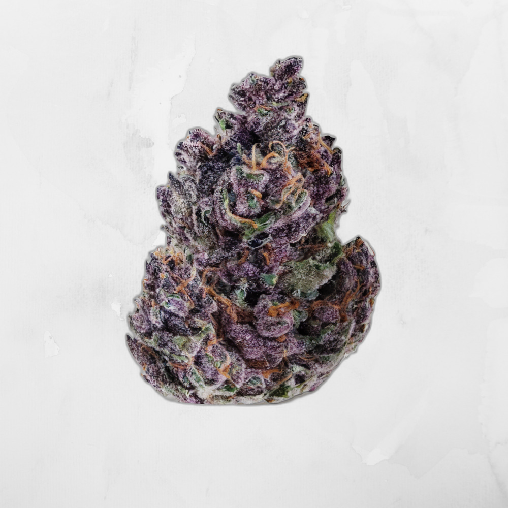 Granddaddy Purp IC Exotics Series THC-a Flower